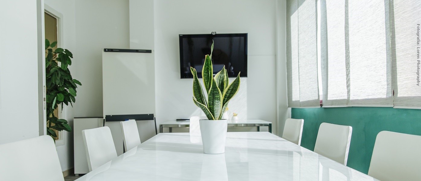 Centro de negocios Coworking Villanueva Sala reunión Villanueva de la Cañada